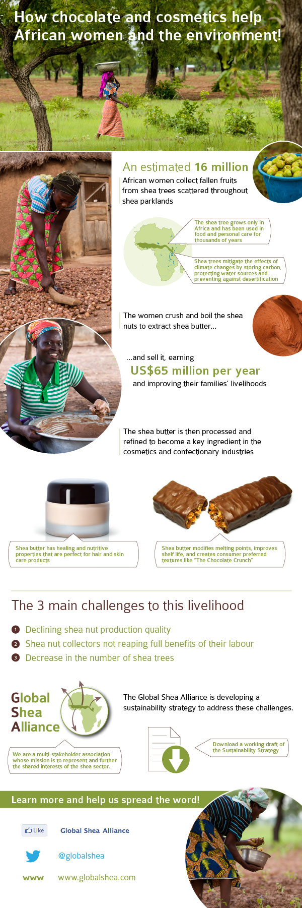Shea infographic