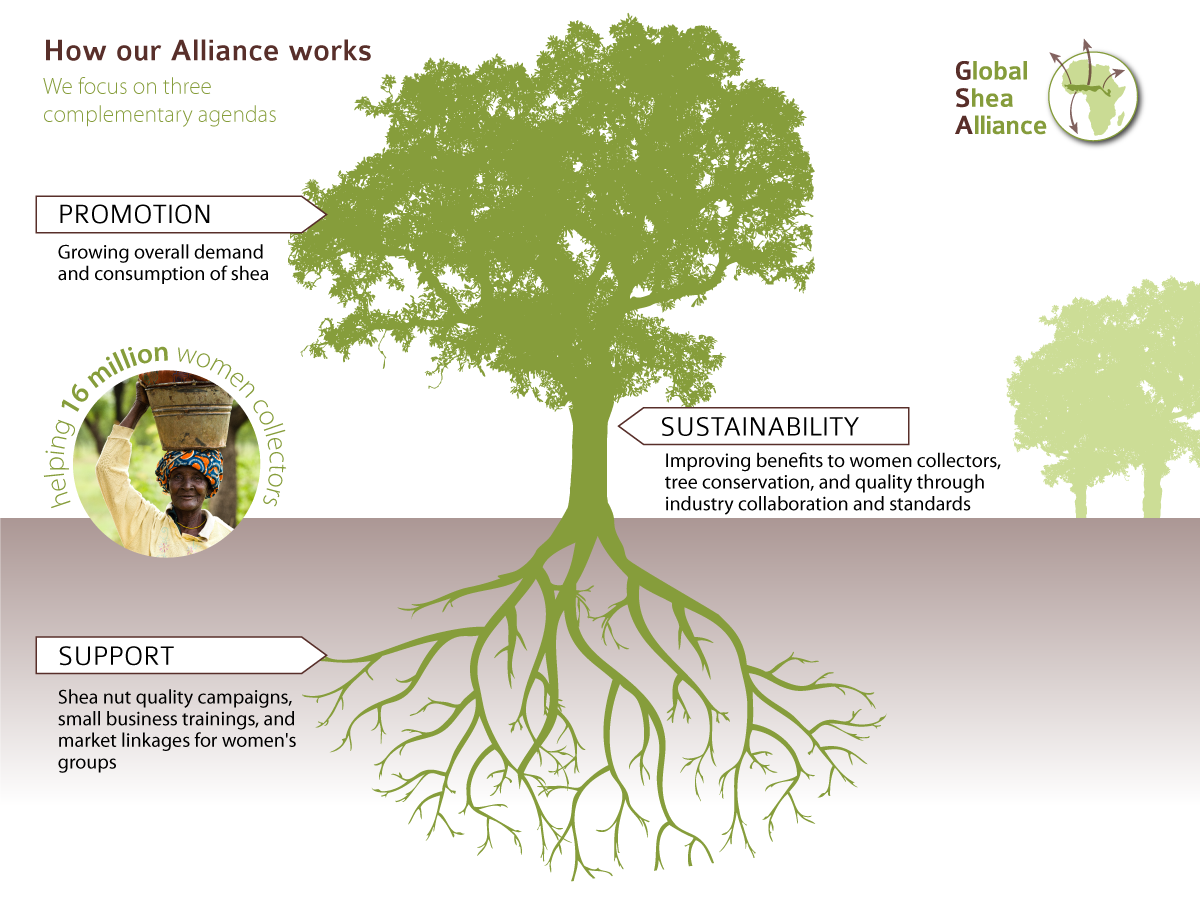 How the GSA works