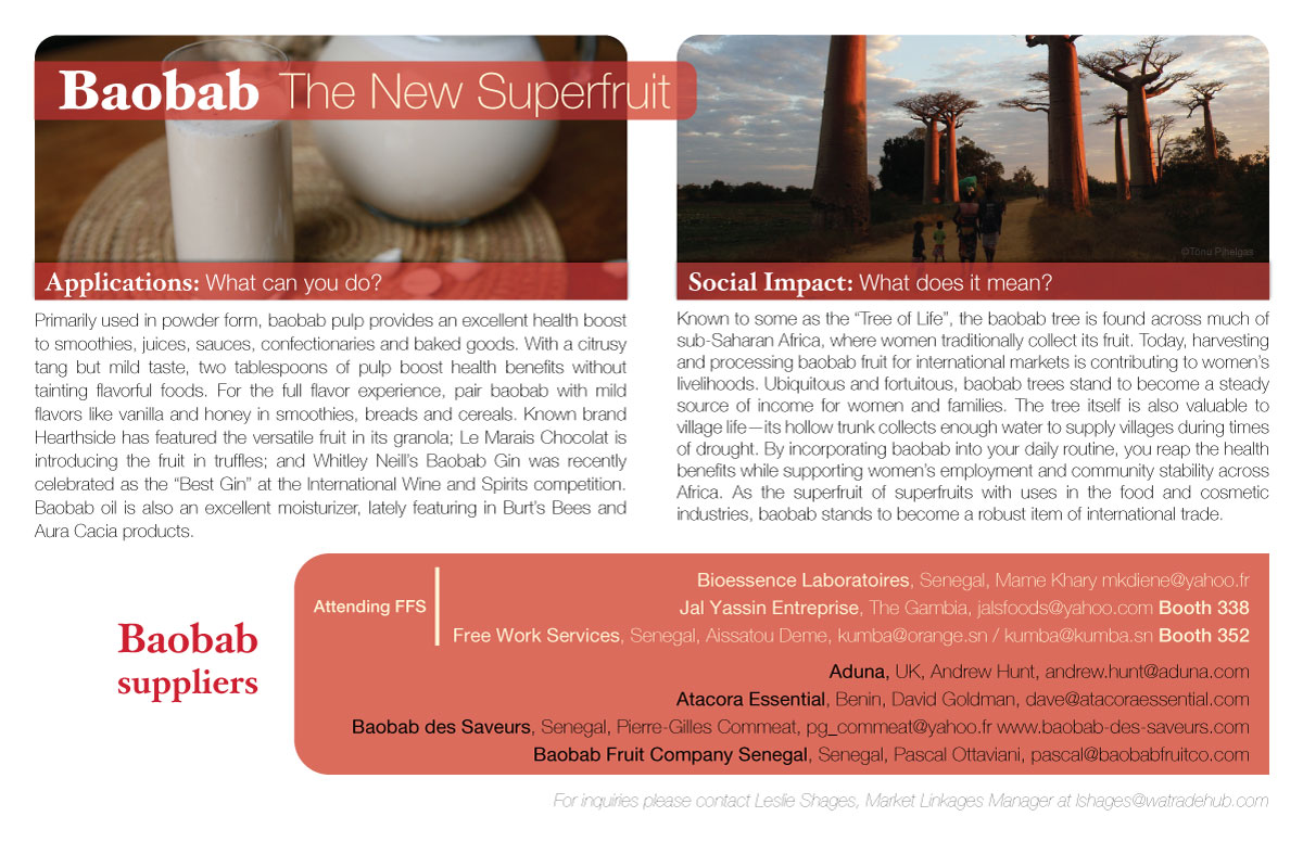 Baobab flyer back