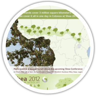 Shea 2012 advert